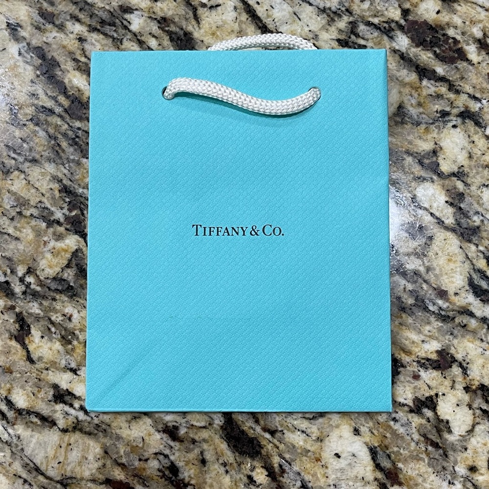 Brand 🆕 Tiffany & Co. bag